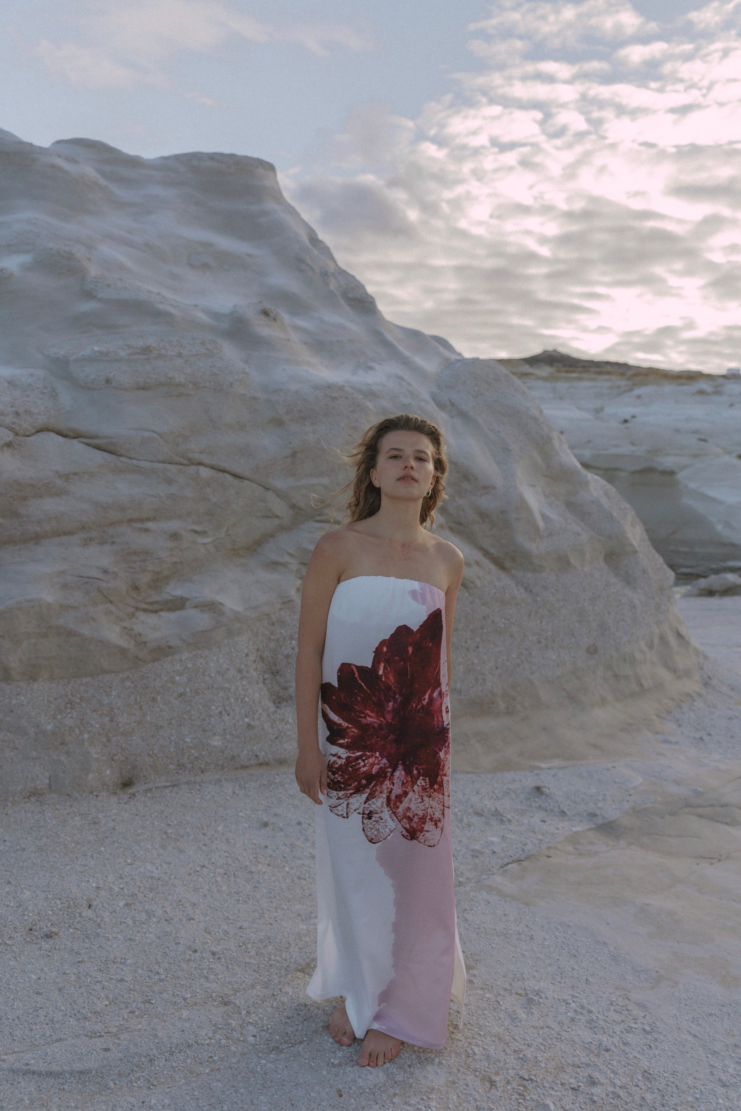 Emma dress - One big flower print